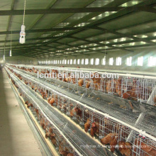 Une cage de pondeuse de poulet de type éleveur de couche à vendre pour le Nigeria